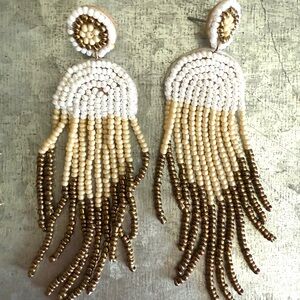 Ink and Alloy Beaded Fringe Earrings